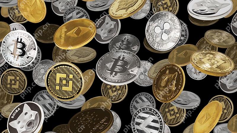 热门加密工具大全｜一站式软件下载平台 - php中文网